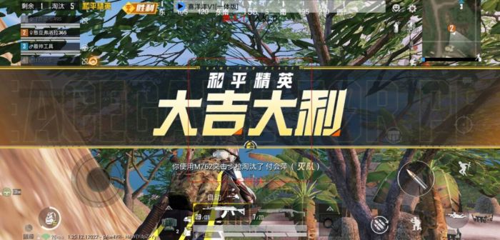 和平精英辅助器下载安装苹果版（如何确保下载的和平精英辅助器是安全的？）
